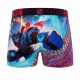 Lot de 3 boxers homme Garantie 2 ans Heroes Power