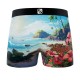 Lot de 5 boxers homme Garantie 2 ans Summer Land