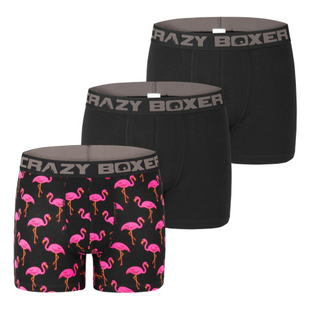 Lot de 3 boxers homme coton Bio Gots Flamingo
