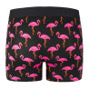 Lot de 3 boxers homme coton Bio Gots Flamingo