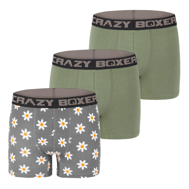 Lot de 3 boxers homme coton Bio Gots Flower