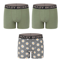 Lot de 3 boxers homme coton Bio Gots Flower