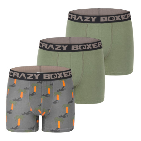 Lot de 3 boxers homme coton Bio Gots Palmier