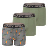 Lot de 3 boxers homme coton Bio Gots Palmier