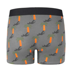 Lot de 3 boxers homme coton Bio Gots Palmier
