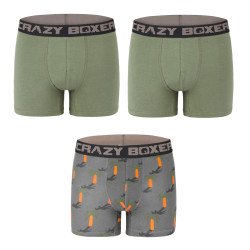 Lot de 3 boxers homme coton Bio Gots Palmier