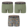 Lot de 3 boxers homme coton Bio Gots Palmier