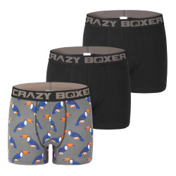 Lot de 3 boxers homme coton Bio Gots Toucan