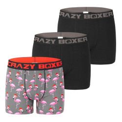 Lot de 3 boxers homme coton Bio Gots Flamant Noël