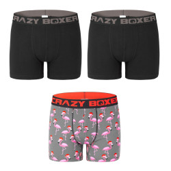 Lot de 3 boxers homme coton Bio Gots Flamant Noël