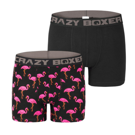 Lot de 2 boxers homme en coton Bio Gots Flamingo