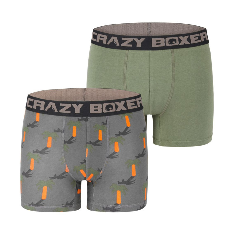 Lot de 2 boxers homme en coton Bio Gots Palmier