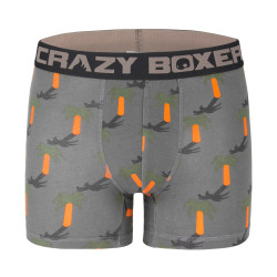 Lot de 2 boxers homme en coton Bio Gots Palmier