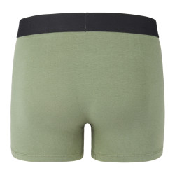 Lot de 2 boxers homme en coton Bio Gots Palmier
