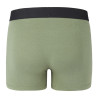 Lot de 2 boxers homme en coton Bio Gots Palmier