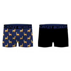 Lot de 2 boxers homme en coton Bio Gots Lama