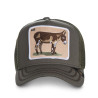 Casquette Trucker Snapback Donkey Ass