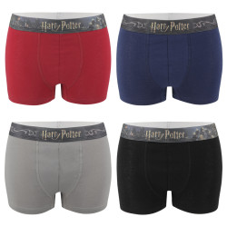 Lot de 4 Boxers coton homme Uni