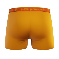 Lot de 4 boxers en coton homme Colors