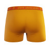 Lot de 4 boxers en coton homme Colors