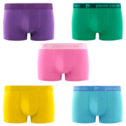 Lot de 5 boxers homme Colors