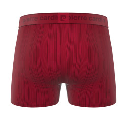 Lot de 4 boxers homme en microfibre Antonio