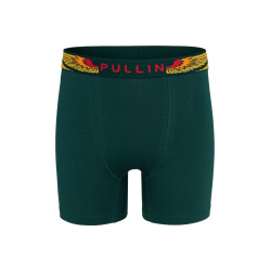PULL IN Boxer long homme en coton Fashion WingsGreen Vert foncé