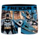 Lot de 2 boxers Homme Freegun DC Comics Multicolore