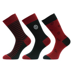 Lot de 3 paires de chaussettes de ville fantaisies en coton peigné