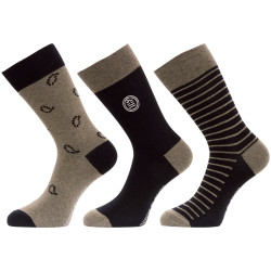 Lot de 3 paires de chaussettes de ville fantaisies en coton peigné
