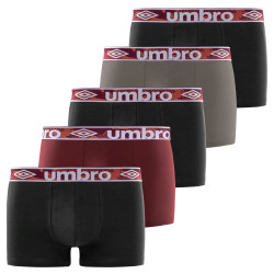 Lot de 5 Boxers homme en coton Umbro